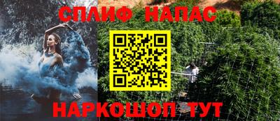 гашик Краснодар
