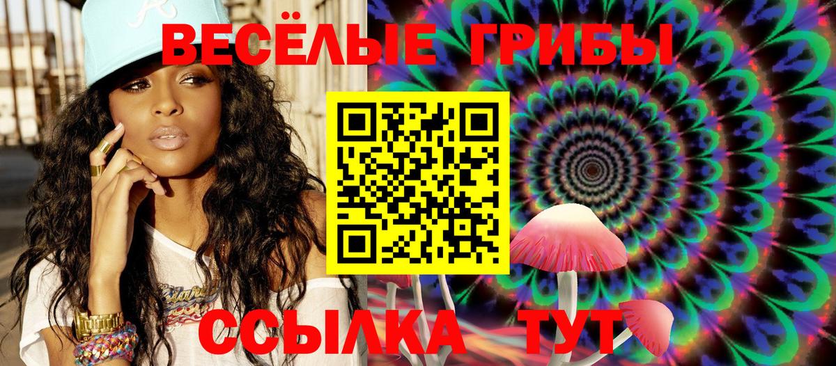 Псилоцибиновые грибы Cubensis Ярославль
