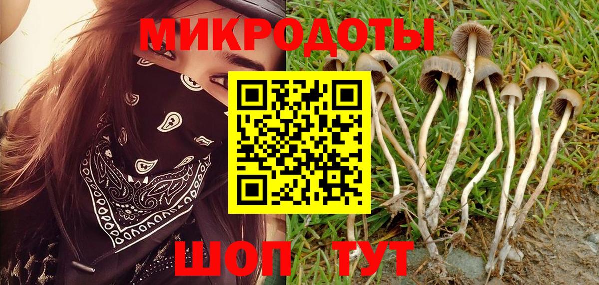 Ярославль  Псилоцибиновые грибы Magic Shrooms  Вход с VPN 